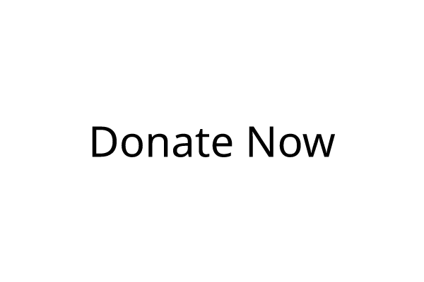 Donate Now - Farcaster Mini Apps